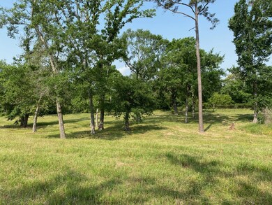 27897 Kresdorn Rd, Hockley, TX 77447 - photo 4