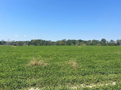 2 Childs Rd, Troy, AL 36081 - photo 3