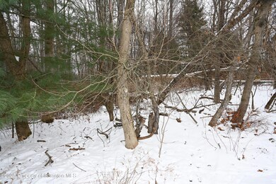 0 E Ave, Laurel Lake, PA 18812 - photo 4