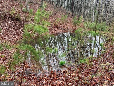 11135 S Fork Rd, Moorefield, WV - photo 6