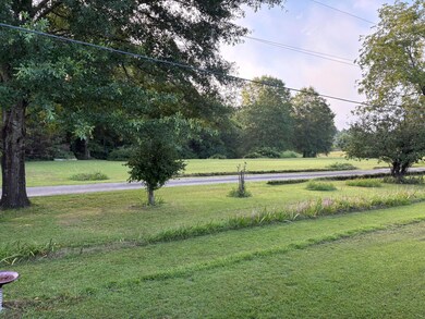 Front Yard