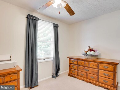 8107 Parkdale Ct, Springfield, VA 22153 - photo 7