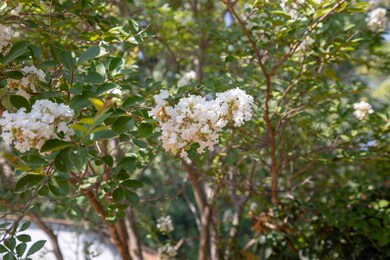 1105 3rd St, Redding, CA 96002 - photo 4