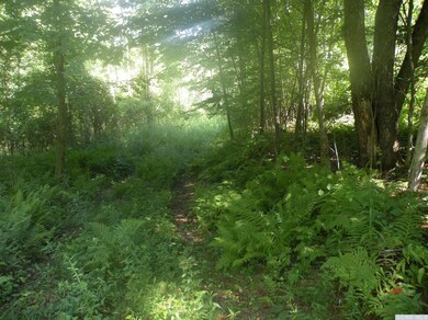 322 Mitchell St, Hillsdale, NY 12529 - photo 6