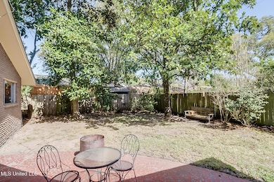 Back yard