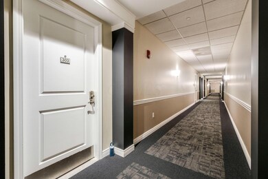 Hallway Entry