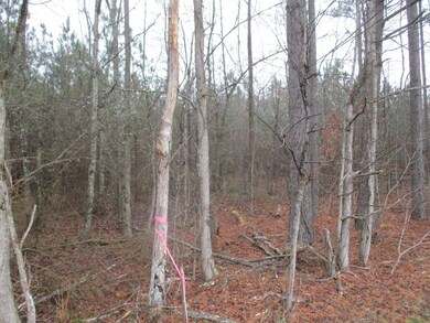 0 SW Baker Rd, Dalton, GA 30721 - photo 2