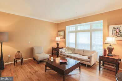 220 Arbor Vista Ln, Owings Mills, MD 21117 - photo 6