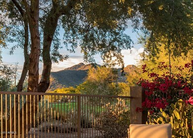 Backyard Black Mountain Views