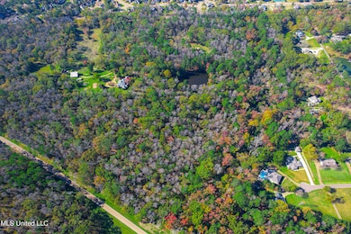 DJI_0359