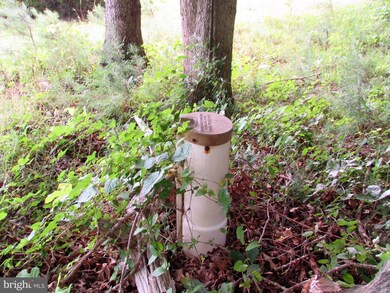 7101 Old Dickersons Rd unit 122, Orange, VA 22960 - photo 5