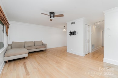 4611 Hedgemore Dr unit B, Charlotte, NC 28209 - photo 4