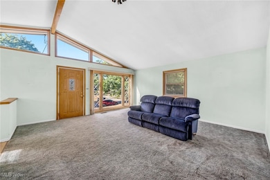 2863 Burnside St, Akron, OH 44312 - photo 4