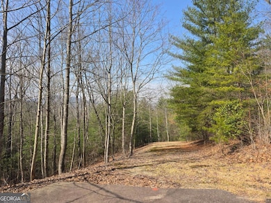 8 & 9 Up the Ridge Rd, Blairsville, GA 30512 - photo 4