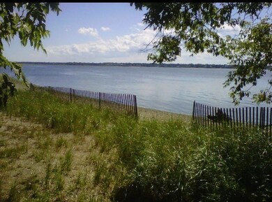 Summer view