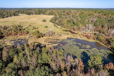 380 An County Road 370, Palestine, TX 75801 - photo 4