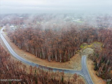 L2 B1 N Sandburg Dr, North Lakes, AK 99654 - photo 4