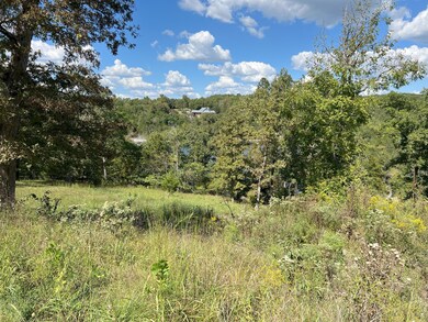 #8 Ledge Rock Ln unit Lot 8, Omaha, AR 72662 - photo 2