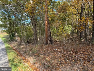 14015 Winchester Grade Rd, Berkeley Springs, WV 25411 - photo 3