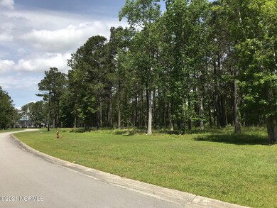 78 Frying Pan Loop, Oriental, NC 28571 - photo 2