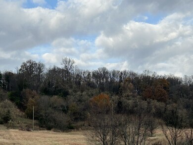 1915 Sedberry Rd, Thompson's Station, TN 37179 - photo 5