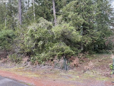 208 Riverview Dr, Castlerock, WA 98611 - photo 2