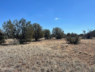 10 Ajo Jogger, Ash Fork, AZ 86320 - photo 6