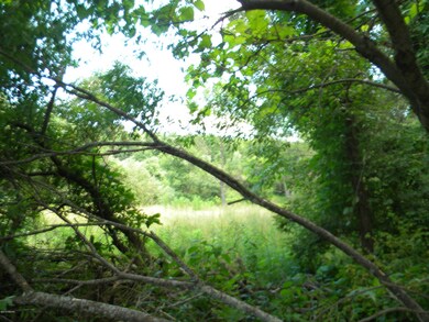 200 BLOCK Gordner Ln, Delaware Township, PA 17756 - photo 3