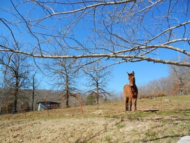 1301 Copperhead Rd, Winslow, AR 72959 - photo 3