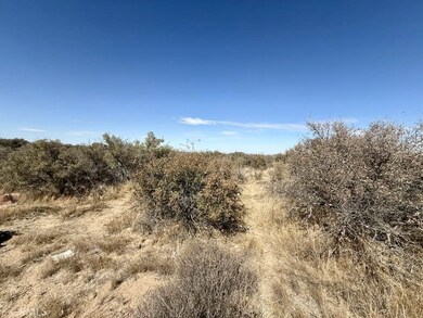 8135 Joshua St, Phelan, CA 92371 - photo 5