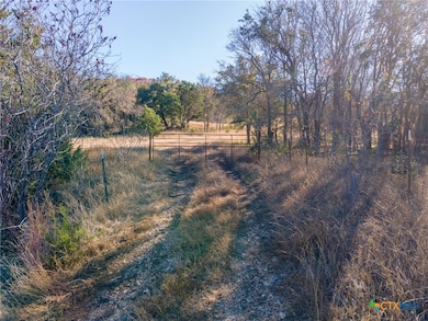 TBD Farm Road 1690, Lampasas, TX 76550 - photo 4