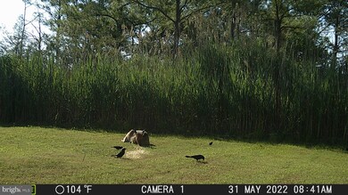 3255 Robbins Rd, Crapo, MD 21626 - photo 5