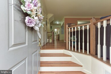 6809 Mclean Province Cir, Falls Church, VA 22043 - photo 2