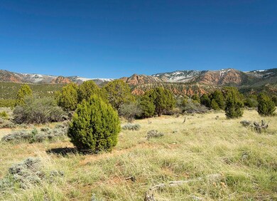 4B Ranch View