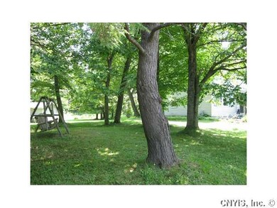 Yard/Garden
