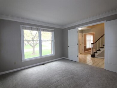 OFFICE - New Carpet - Blinds