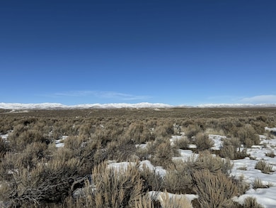 TBD Buchanan Ave, Elko, NV 89801 - photo 5