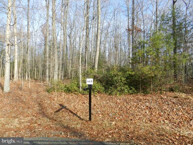 A Hart Ct, Culpeper, VA 22701 - photo 3