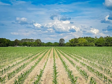 0 Tbd Salem Rd unit LotWP00B 24524860, Bennettsville, SC 29512 - photo 3