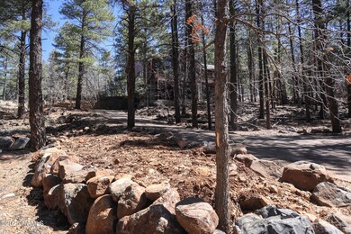 Heavily Treed Lot