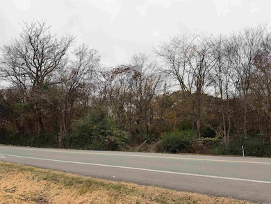 10 Acres Woodland Park Rd, Bryant, AR 72022 - photo 6