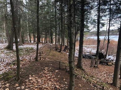 0 White Birch Rd unit 4892348, Henniker, NH 03242 - photo 2