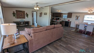 4209 Mimosa St, Carlsbad, NM 88220 - photo 4