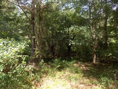 27 Amity Woodlawn Rd, Lincolnton, GA 30817 - photo 3