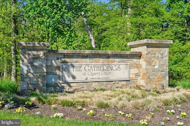 601 Quicksilver Ct unit 201, Reisterstown, MD 21136 - photo 3