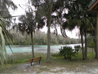 8729 SW 194th Ct, Dunnellon, FL 34432 - photo 3