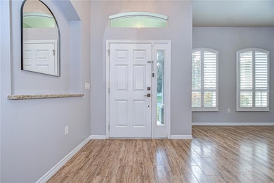 14208 Creek Run Dr, Riverview, FL 33579 - photo 5