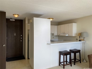 Entrance and Kitchen