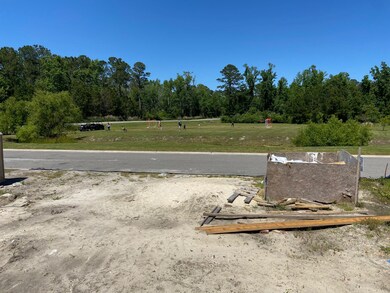 908 Anchors Bend Way, Wilmington, NC 28411 - photo 2