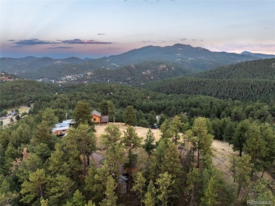 27873 Meadow View Dr, Evergreen, CO 80439 - photo 3